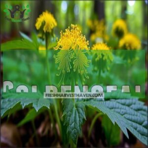 Goldenseal