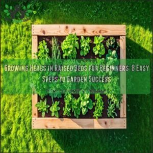 growing herbs in raised beds for beginners