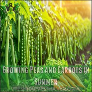 Growing Peas and Carrots in Summer