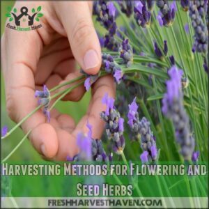 Harvesting Methods for Flowering and Seed Herbs