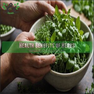 Health Benefits of Herbs