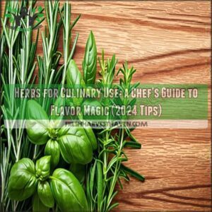 herbs for culinary use