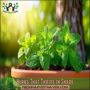 Herbs That Thrive in Shade