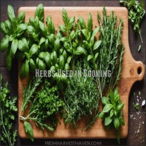 Herbs Used in Cooking