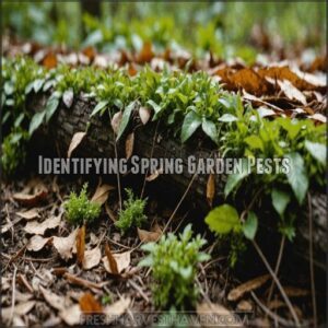 Identifying Spring Garden Pests