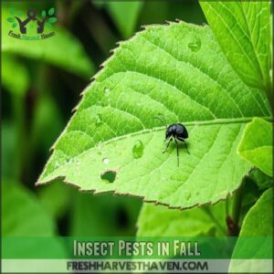 Insect Pests in Fall