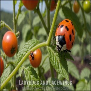 Ladybugs and Lacewings