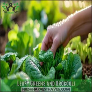 Leafy Greens and Broccoli