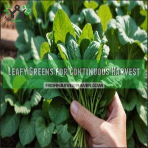 Leafy Greens for Continuous Harvest