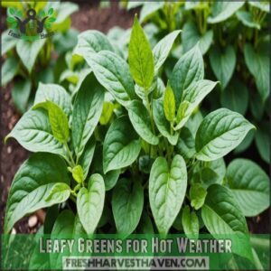 Leafy Greens for Hot Weather