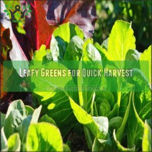 Leafy Greens for Quick Harvest