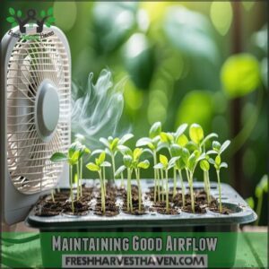 Maintaining Good Airflow