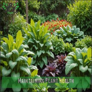 Maintaining Plant Health