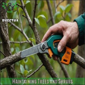 Maintaining Trees and Shrubs