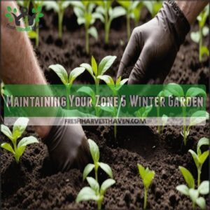 Maintaining Your Zone 5 Winter Garden