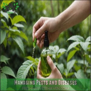 Managing Pests and Diseases