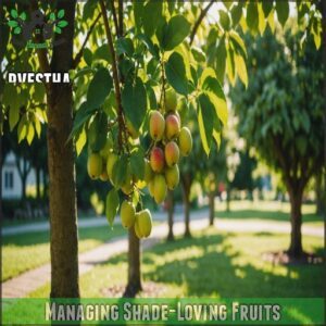 Managing Shade-Loving Fruits