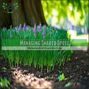 Managing Shaded Spots