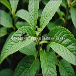 Managing Spring Garden Pests