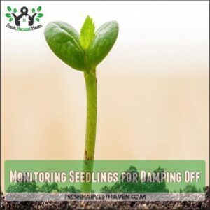 Monitoring Seedlings for Damping Off