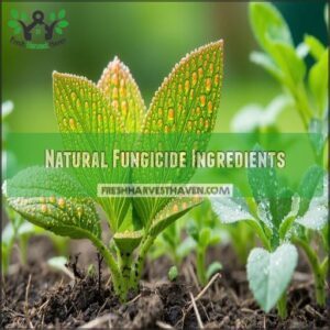 Natural Fungicide Ingredients