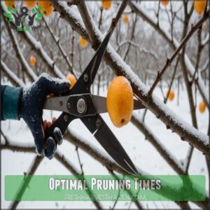 Optimal Pruning Times