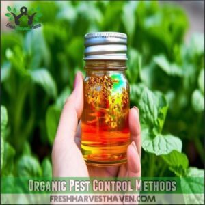 Organic Pest Control Methods