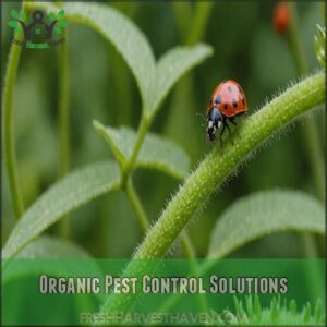 Organic Pest Control Solutions