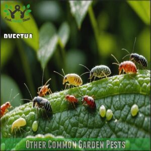 Other Common Garden Pests