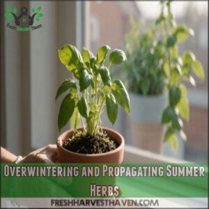 Overwintering and Propagating Summer Herbs