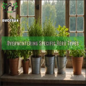 Overwintering Specific Herb Types