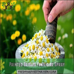 Painted Daisies Fungicide Spray