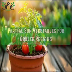 Partial Sun Vegetables for Cooler Regions