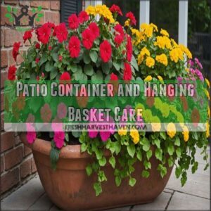 Patio Container and Hanging Basket Care