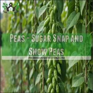 Peas - Sugar Snap and Snow Peas