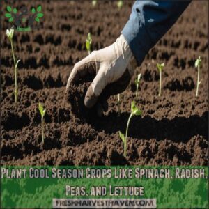 Plant Cool Season Crops Like Spinach, Radish, Peas, and Lettuce