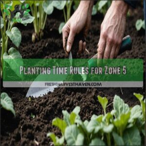 Planting Time Rules for Zone 5