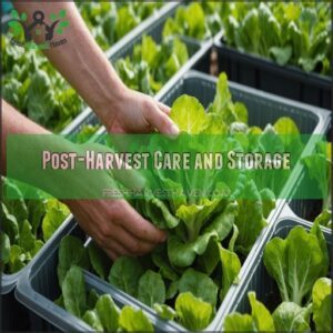 Post-Harvest Care and Storage