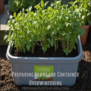 Preparing Herbs for Container Overwintering