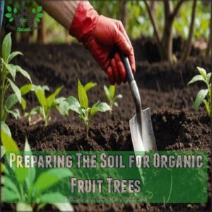 Preparing The Soil for Organic Fruit Trees