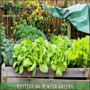 Protecting Winter Greens