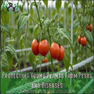 Protecting Young Plants From Pests and Diseases