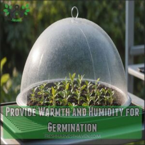 Provide Warmth and Humidity for Germination