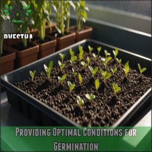 Providing Optimal Conditions for Germination