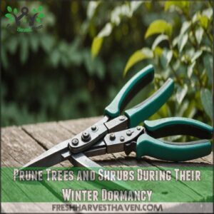 Prune Trees and Shrubs During Their Winter Dormancy