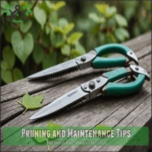 Pruning and Maintenance Tips