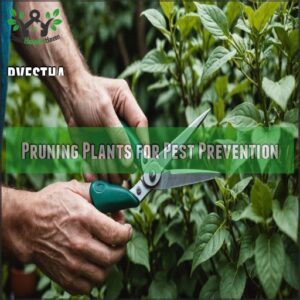 Pruning Plants for Pest Prevention