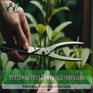 Seasonal Pest Control Strategies