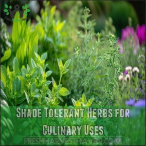 Shade Tolerant Herbs for Culinary Uses