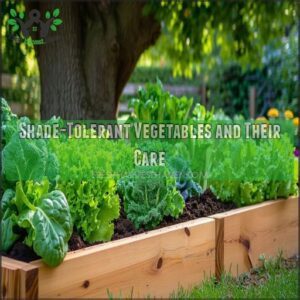 Shade-Tolerant Vegetables and Their Care